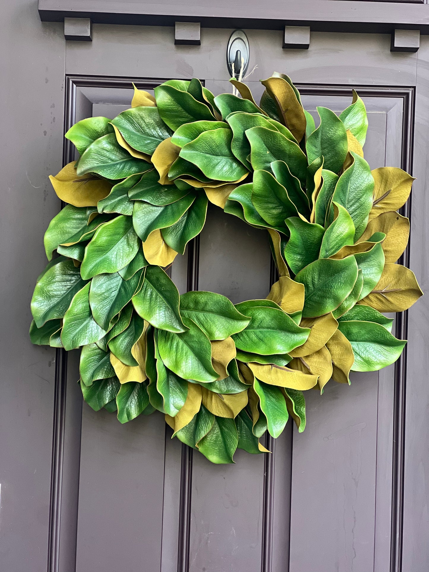 All Season Magnolia Leaf