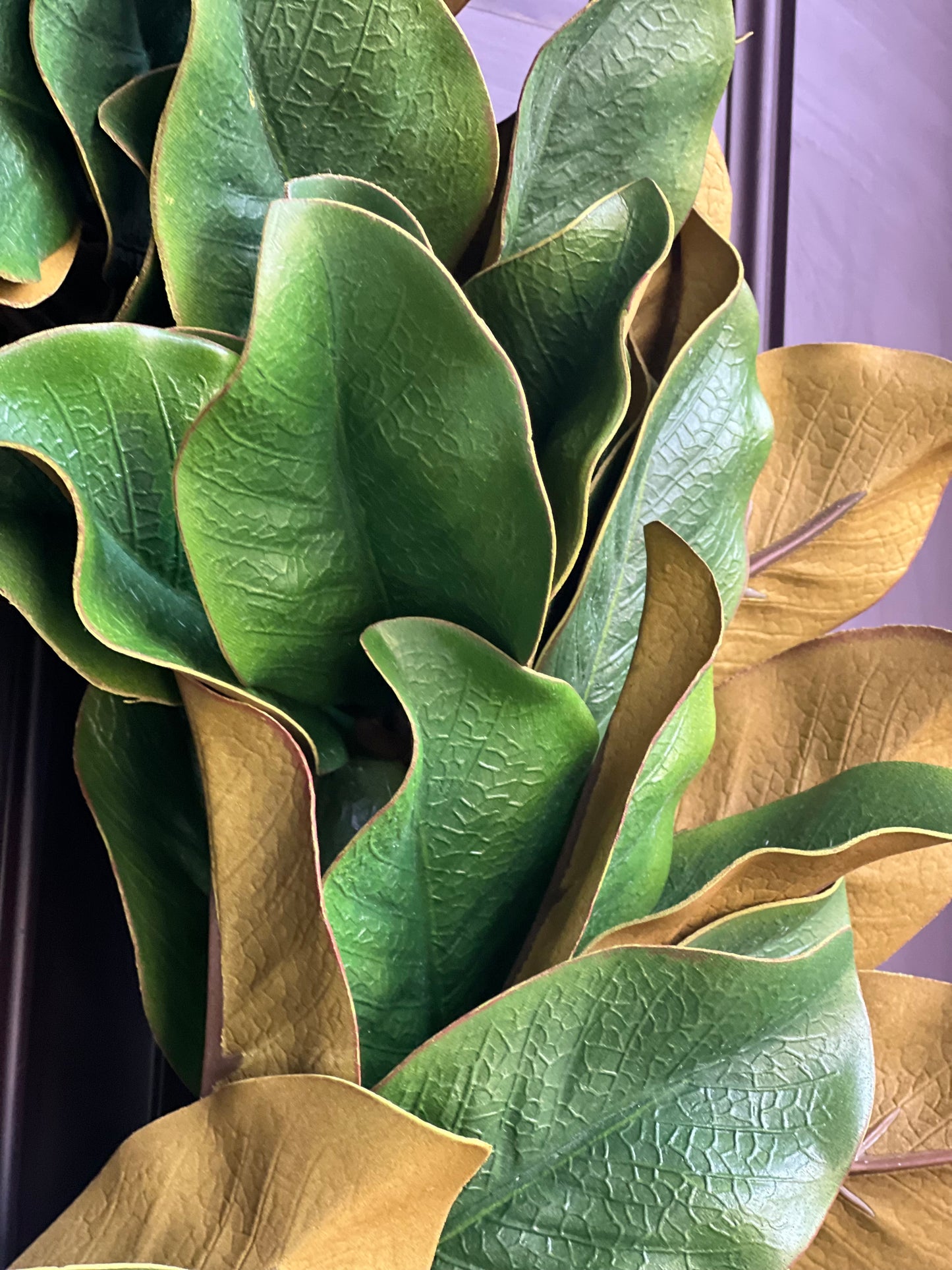 All Season Magnolia Leaf